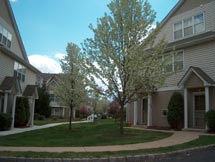 commercial property, industrial property